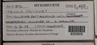 Image Associated With the Occurence